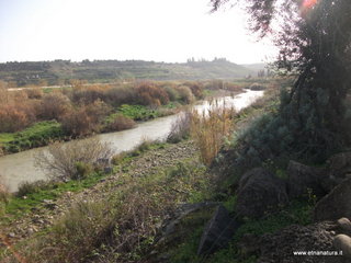 lle del Simeto-24-02-2013 09-14-50